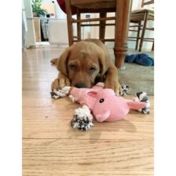 Territory 2-in-1 Farm Friends Dog Toys, 3 Count -Pet Toys Shop 341844 PT5. AC SS1800 V1634831853