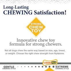 Nylabone Gourmet Style Strong Chew Wishbone Bacon Dog Toy -Pet Toys Shop 344025 PT8. AC SS1800 V1689364474