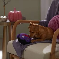 Frisco Halloween Vampire Round Plush Squeaky Dog Toy 7 Frisco Halloween Vampire Round Plush Squeaky Dog Toy -Pet Toys Shop 344168 PT3. AC SS1800 V1657657049