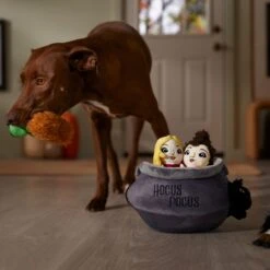 Disney Halloween Hocus Pocus Cauldron Hide & Seek Puzzle Plush Toy Squeaky Dog Toy -Pet Toys Shop 344459 PT3. AC SS1800 V1657657086