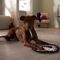 Disney Villains Cruella De Vil Flat Plush Squeaky Dog Toy 5 Disney Villains Cruella De Vil Flat Plush Squeaky Dog Toy -Pet Toys Shop 344469 PT3. AC SS1800 V1657657086