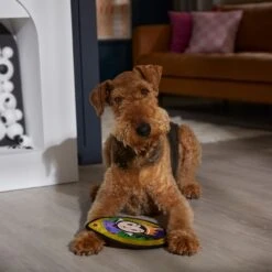 Disney Villains Evil Queen Mirror Flat Plush Squeaky Dog Toy 5 Disney Villains Evil Queen Mirror Flat Plush Squeaky Dog Toy -Pet Toys Shop 344473 PT3. AC SS1800 V1657657086