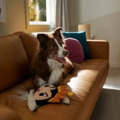 Disney Villains Evil Queen Round Plush Squeaky Dog Toy -Pet Toys Shop 344475 PT3. AC SS1800 V1657657086