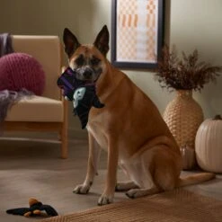 Disney Villains Maleficent & Raven Plush Squeaky Dog Toy, 2 Count -Pet Toys Shop 344477 PT3. AC SS1800 V1657657086