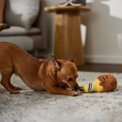 STAR WARS Candy Shop CHEWBACCA Ice Cream Plush With Rope Squeaky Dog Toy -Pet Toys Shop 346108 PT3. AC SS1800 V1659546954