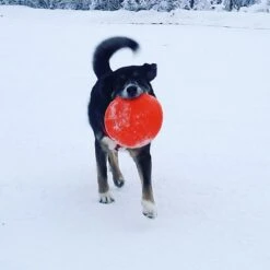 SodaPup Bottle Top Rubber Flying Disk Dog Toy -Pet Toys Shop 346939 PT3. AC SS1800 V1638400039