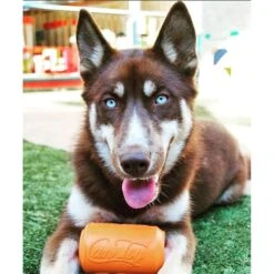 SodaPup Can Treat Dispenser Dog Toy -Pet Toys Shop 346944 PT8. AC SS1800 V1638340371