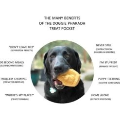 SodaPup Doggie Pharaoh Treat Dispenser Dog Toy -Pet Toys Shop 346963 PT3. AC SS1800 V1638305832