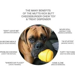SodaPup Hamburger Rubber Treat Dispenser Dog Toy -Pet Toys Shop 347012 PT2. AC SS1800 V1638306102