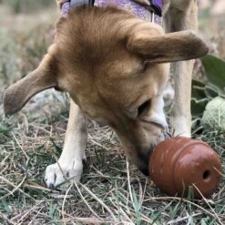 SodaPup Hamburger Rubber Treat Dispenser Dog Toy -Pet Toys Shop 347012 PT6. AC SS1800 V1638313332