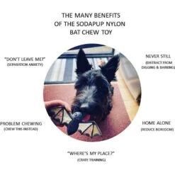 SodaPup Nylon Vampire Bat Chew Dog Toy -Pet Toys Shop 347095 PT2. AC SS1800 V1638340631