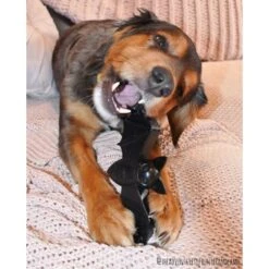 SodaPup Nylon Vampire Bat Chew Dog Toy -Pet Toys Shop 347095 PT8. AC SS1800 V1638341526