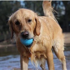 SodaPup TPE Wag Ball Chew & Retrieving Toy 10 SodaPup TPE Wag Ball Chew & Retrieving Toy -Pet Toys Shop 347131 PT2. AC SS1800 V1638341206