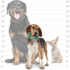 Tuffy's Lucky Pup Durable Squeaky Dog Toy -Pet Toys Shop 347154 PT6. AC SS1800 V1638295599