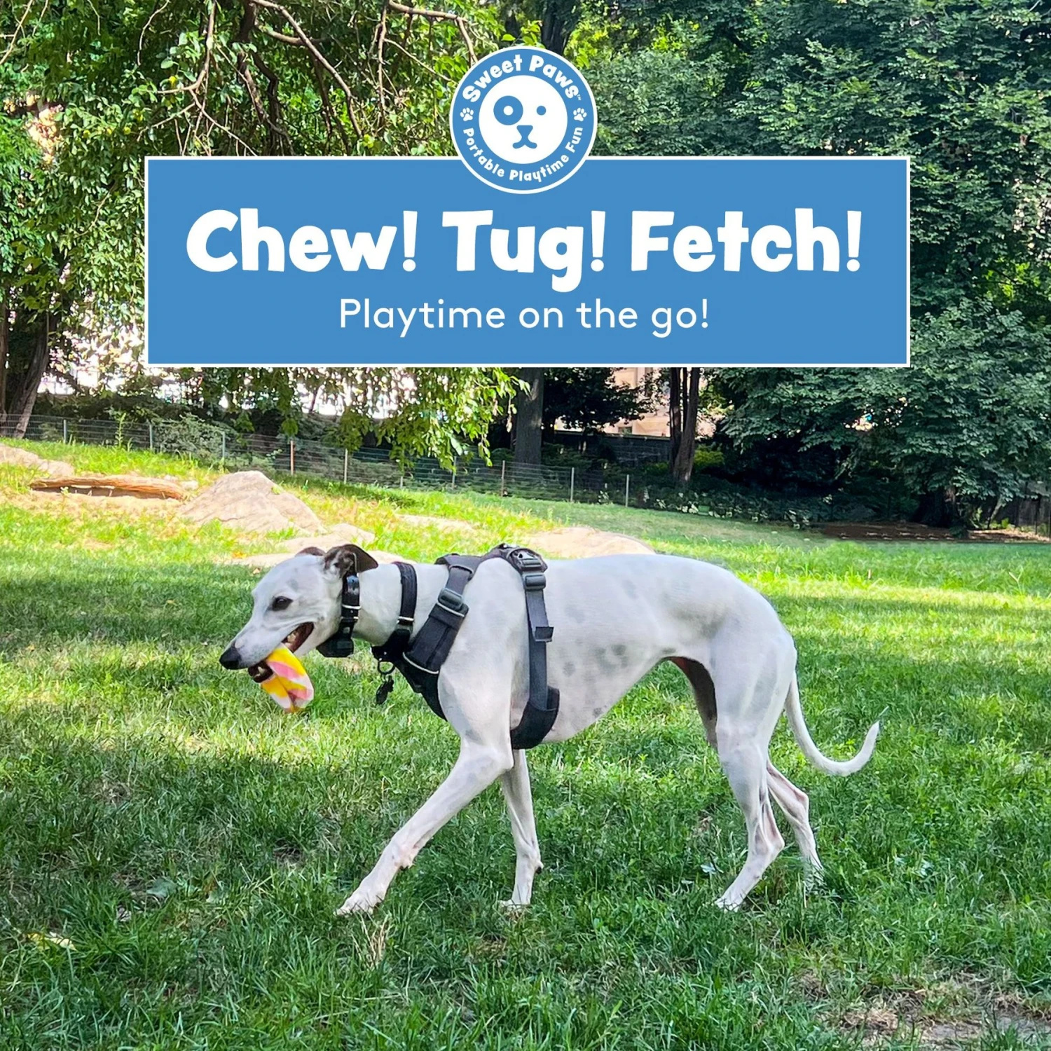 Sweet Paws Chunky Wearable Puppy Teether Stack Dog Toy, 2 Count 4 Sweet Paws Chunky Wearable Puppy Teether Stack Dog Toy, 2 Count - Image 4