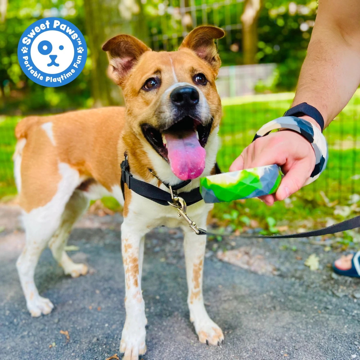 Sweet Paws Chunky Wearable Puppy Teether Stack Dog Toy, 2 Count 8 Sweet Paws Chunky Wearable Puppy Teether Stack Dog Toy, 2 Count - Image 8