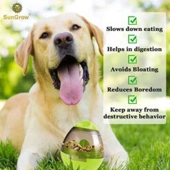 SunGrow Boredom & Separation Anxiety Relief Stimulation Treat Dispensing Cat & Dog Toy -Pet Toys Shop 352929 PT2. AC SS1800 V1639435002