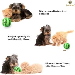 SunGrow Interactive Chew Ball Treat Dispenser Dog & Cat Teething Toy -Pet Toys Shop 352931 PT3. AC SS1800 V1639435343