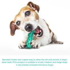 Hanamya Bone-Shaped Toothbrush Dog Chew Toy -Pet Toys Shop 354531 PT3. AC SS1800 V1640736701