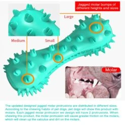 Hanamya Bone-Shaped Toothbrush Dog Chew Toy -Pet Toys Shop 354531 PT6. AC SS1800 V1640731306