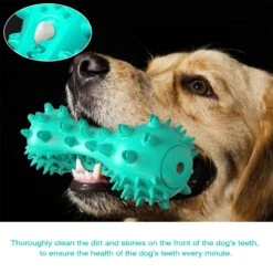 Hanamya Bone-Shaped Toothbrush Dog Chew Toy -Pet Toys Shop 354531 PT8. AC SS1800 V1640732484