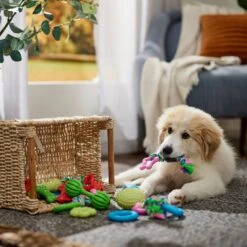 Frisco Small Breed Puppies Rope & TPR Variety Pack Puppy Toy 8 Frisco Small Breed Puppies Rope & TPR Variety Pack Puppy Toy -Pet Toys Shop 358552 PT4. AC SS1800 V1669908588