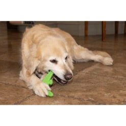 Hugglehounds LeLe Tuffut-Flex Flyer Dog Toy, Green -Pet Toys Shop 362026 PT7. AC SS1800 V1644018113
