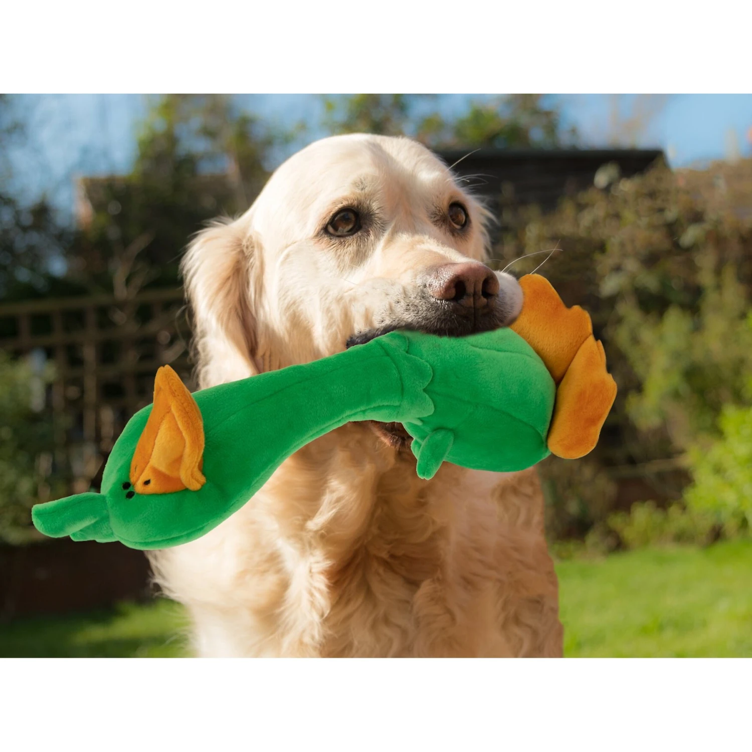 TrustyPup Long Neck Duck Dog Toy, Green, Large 5 TrustyPup Long Neck Duck Dog Toy, Green, Large - Image 5