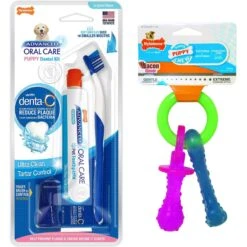 Nylabone Advanced Oral Care Original Flavor Puppy Dental Kit & Nylabone Puppy Pacifier Teething Toy Chew Teething Pacifier Bacon