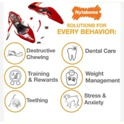 Nylabone Advanced Oral Care Original Flavor Puppy Dental Kit & Nylabone Puppy Pacifier Teething Toy Chew Teething Pacifier Bacon -Pet Toys Shop 365504 PT7. AC SS1800 V1644018124