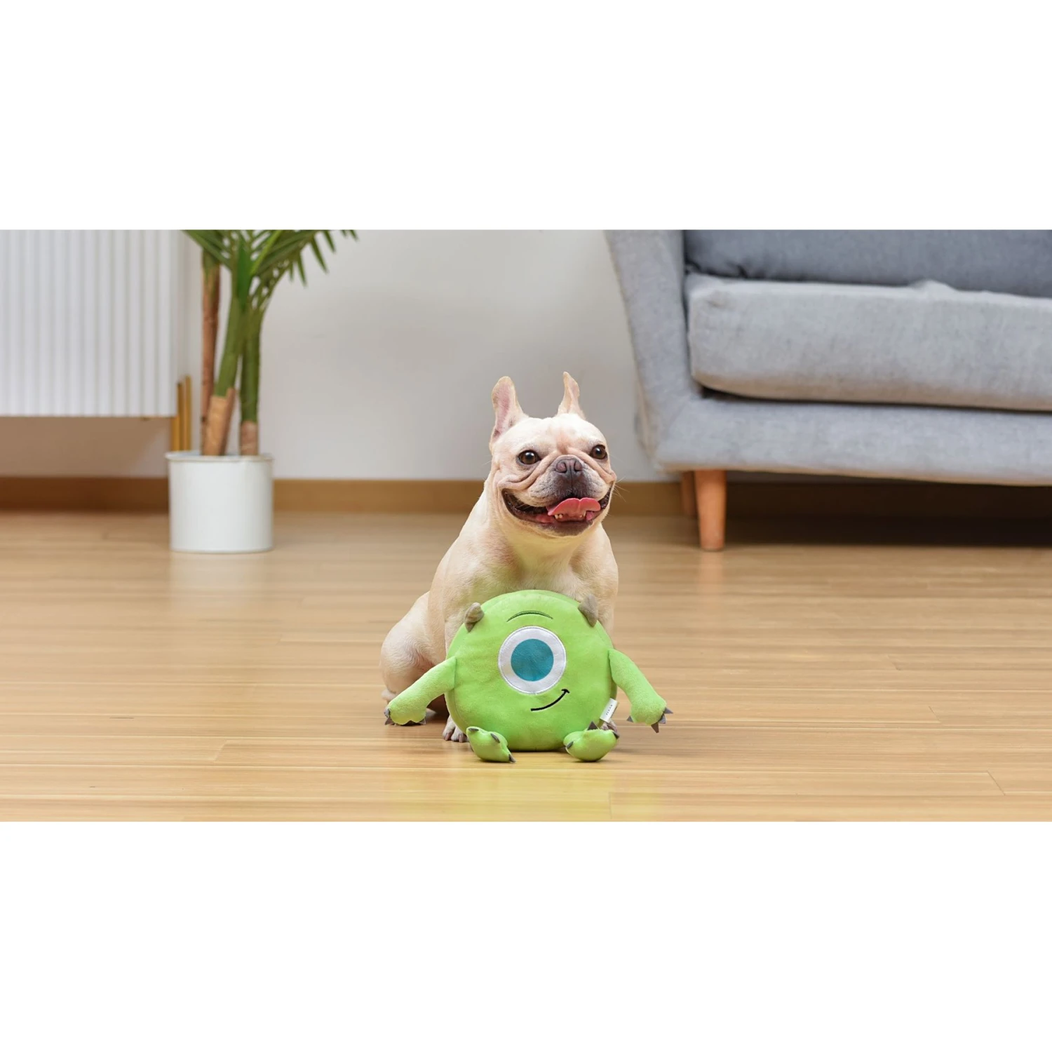 Fetch For Pets Disney Pixar Halloween Monsters, Inc. Mike Plush Dog Toy 5 Fetch For Pets Disney Pixar Halloween Monsters, Inc. Mike Plush Dog Toy - Image 5
