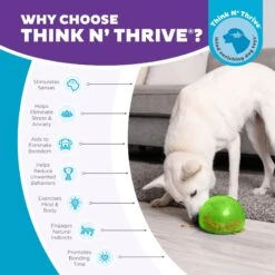 Planet Dog Orbee-Tuff Snoop Interactive Treat Dispensing Dog Toy 12 Planet Dog Orbee-Tuff Snoop Interactive Treat Dispensing Dog Toy -Pet Toys Shop 367753 PT5. AC SS1800 V1687966996