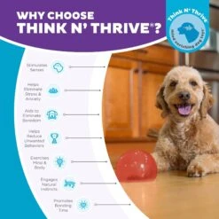 Planet Dog Orbee-Tuff Lil' Snoop Interactive Treat Dispensing Dog Toy -Pet Toys Shop 367755 PT5. AC SS1800 V1687966990