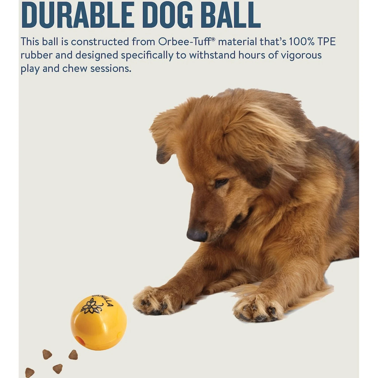 Planet Dog Orbee-Tuff Essentials Vanilla Scented Interactive Dog Ball Treat Dispenser Toy, Yellow 5 Planet Dog Orbee-Tuff Essentials Vanilla Scented Interactive Dog Ball Treat Dispenser Toy, Yellow - Image 5