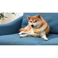 Fetch For Pets Harry Potter House Sorting Hat Burrow Dog Toy -Pet Toys Shop 367779 PT8. AC SS1800 V1645225899