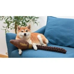 Fetch For Pets Harry Potter Nimbus 2000 Rope Dog Toy 9 Fetch For Pets Harry Potter Nimbus 2000 Rope Dog Toy -Pet Toys Shop 367783 PT3. AC SS1800 V1645221095
