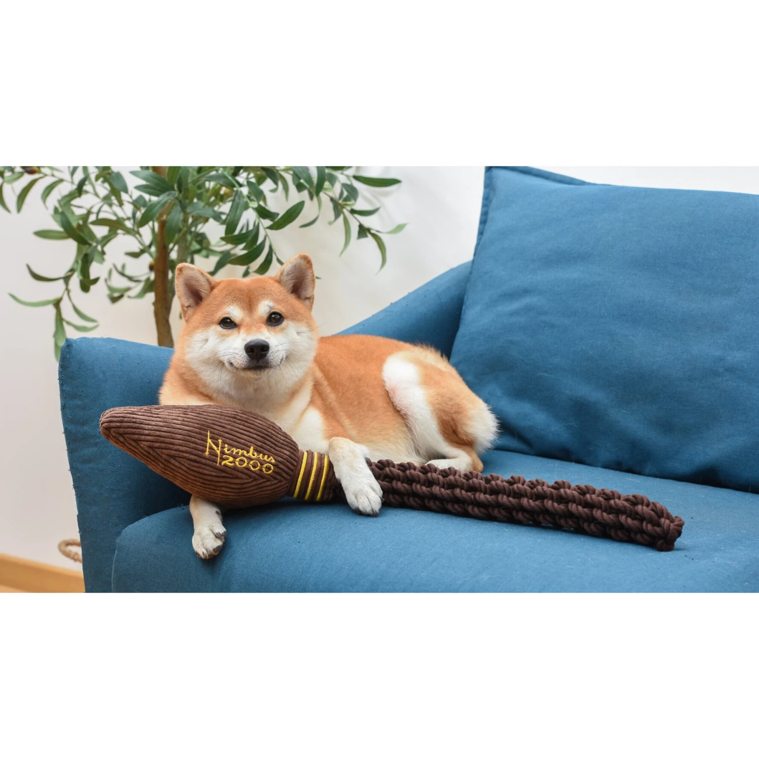 Fetch For Pets Harry Potter Nimbus 2000 Rope Dog Toy 4 Fetch For Pets Harry Potter Nimbus 2000 Rope Dog Toy - Image 4
