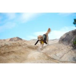 Fetch For Pets Harry Potter Nimbus 2000 Rope Dog Toy 10 Fetch For Pets Harry Potter Nimbus 2000 Rope Dog Toy -Pet Toys Shop 367783 PT4. AC SS1800 V1645231909