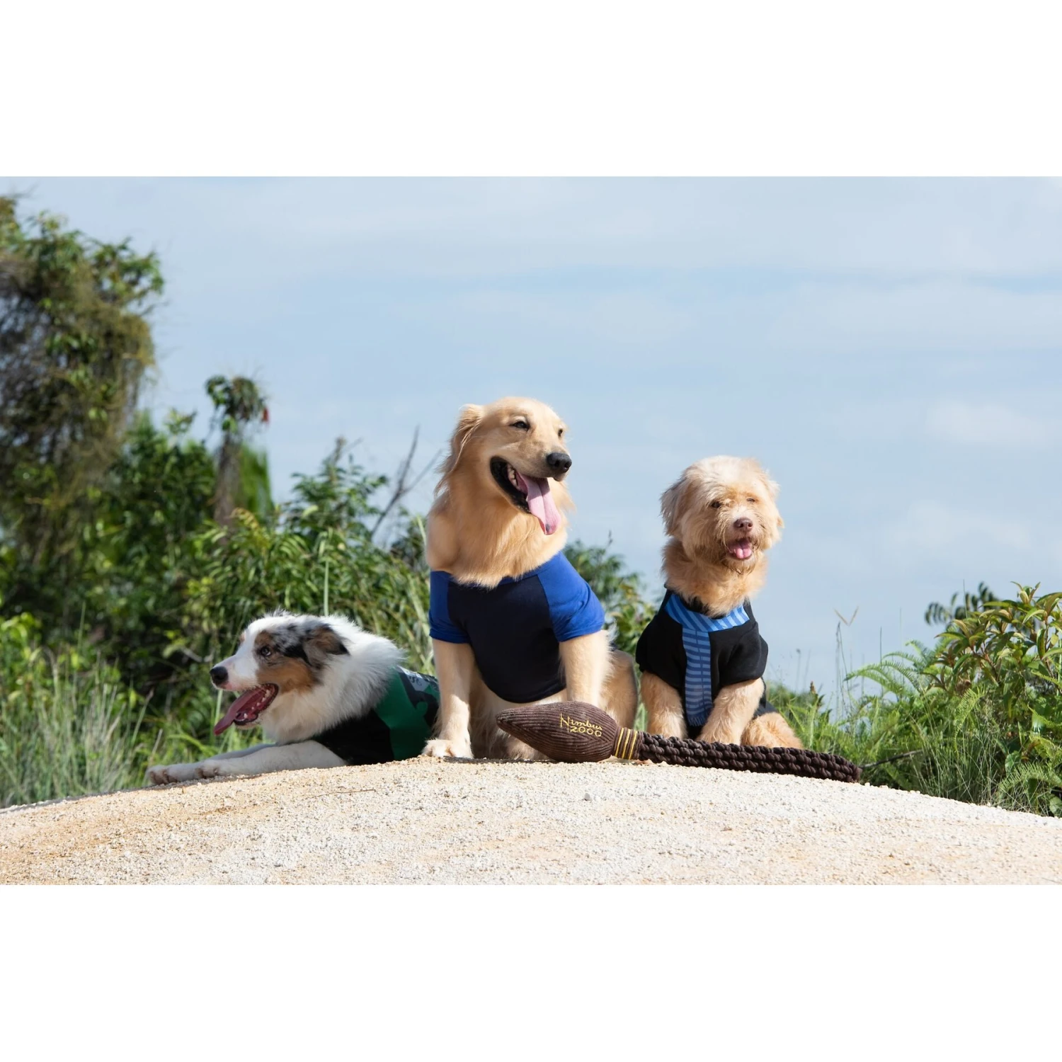 Fetch For Pets Harry Potter Nimbus 2000 Rope Dog Toy 6 Fetch For Pets Harry Potter Nimbus 2000 Rope Dog Toy - Image 6