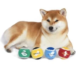Fetch For Pets Harry Potter 4PK Hogwarts Pride Tennis Ball Dog Toy -Pet Toys Shop 367787 PT4. AC SS1800 V1645229238