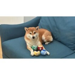 Fetch For Pets Harry Potter 4PK Hogwarts Pride Tennis Ball Dog Toy -Pet Toys Shop 367787 PT6. AC SS1800 V1645230706