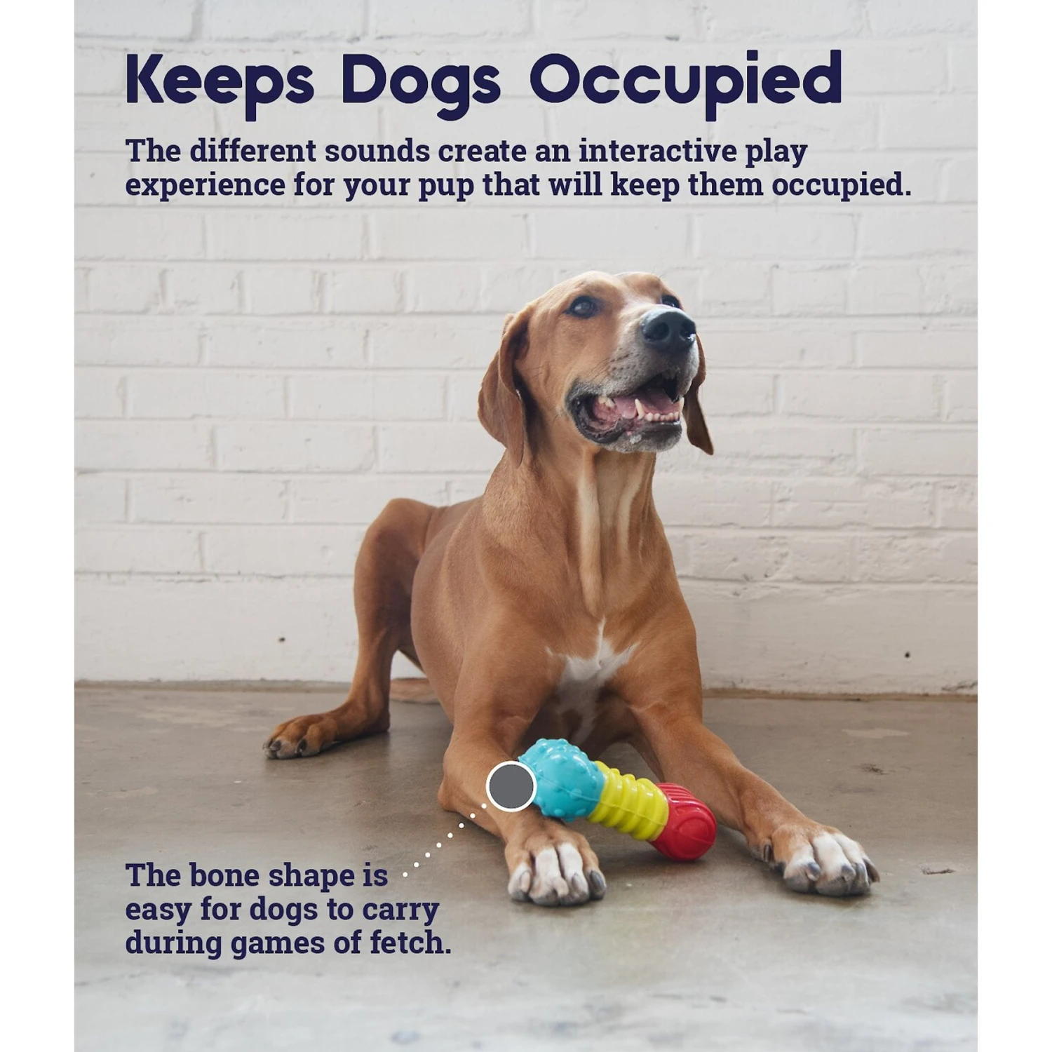 Petstages Multi-Squeak Bone Dog Chew Toy 4 Petstages Multi-Squeak Bone Dog Chew Toy - Image 4