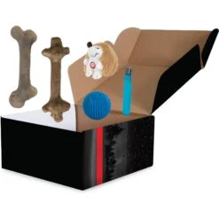 Pet Qwerks Small Holiday Gift Box Dog Toy