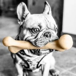 Pet Qwerks Small Holiday Gift Box Dog Toy -Pet Toys Shop 369010 PT2. AC SS1800 V1675870593