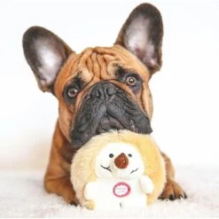 Pet Qwerks Small Holiday Gift Box Dog Toy -Pet Toys Shop 369010 PT4. AC SS1800 V1675870149