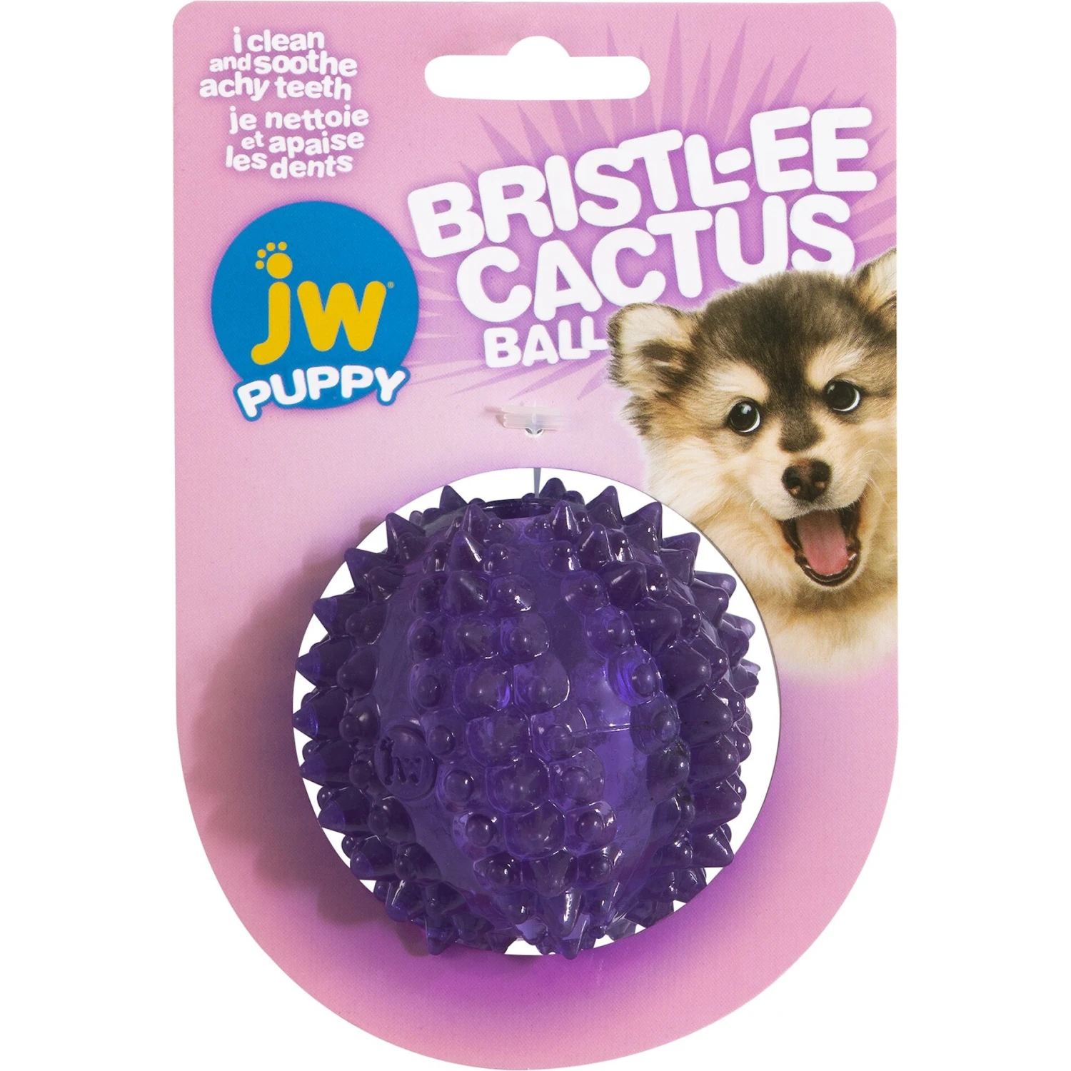 JW Pet Bristly Cactus Ball Dog Toy, Purple 1 JW Pet Bristly Cactus Ball Dog Toy, Purple
