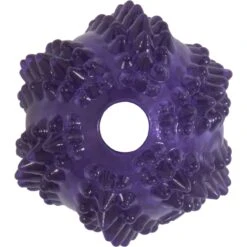 JW Pet Bristly Cactus Ball Dog Toy, Purple 8 JW Pet Bristly Cactus Ball Dog Toy, Purple -Pet Toys Shop 369096 PT3. AC SS1800 V1646701988