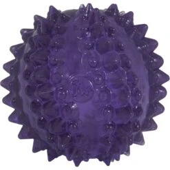 JW Pet Bristly Cactus Ball Dog Toy, Purple 9 JW Pet Bristly Cactus Ball Dog Toy, Purple -Pet Toys Shop 369096 PT4. AC SS1800 V1646696841