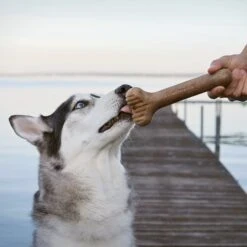 Lumabone Bulkster Bacon Flavor Dog Toy -Pet Toys Shop 370197 PT4. AC SS1800 V1646783525