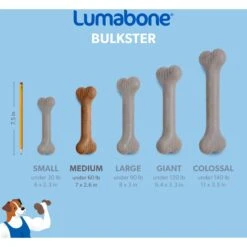 Lumabone Bulkster Bacon Flavor Dog Toy -Pet Toys Shop 370197 PT5. AC SS1800 V1646764954